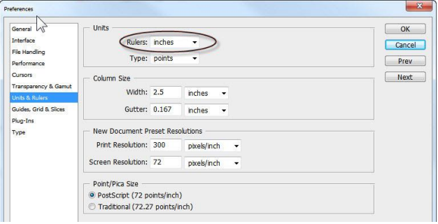 Set Ruler Preferences